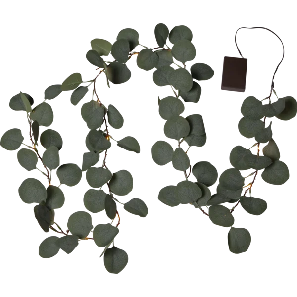 Eucalyptus Girlander v:4644395