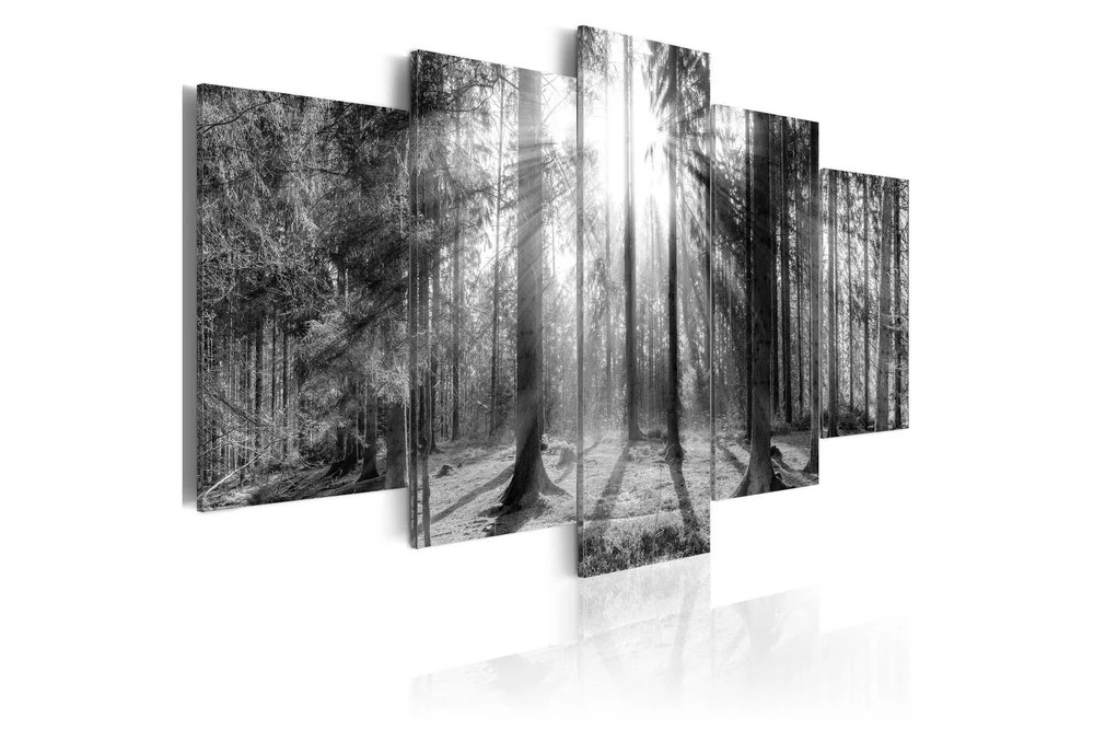 Bilde Forest Of Memories 200x100 v:8747783