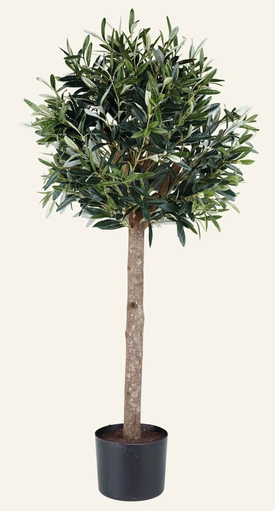 Plante grønn – 90 cm v:9663455