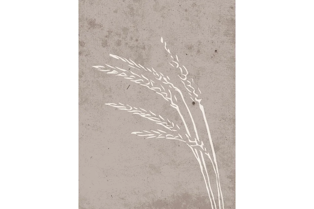Poster Seeds 30x40 cm v:9812125