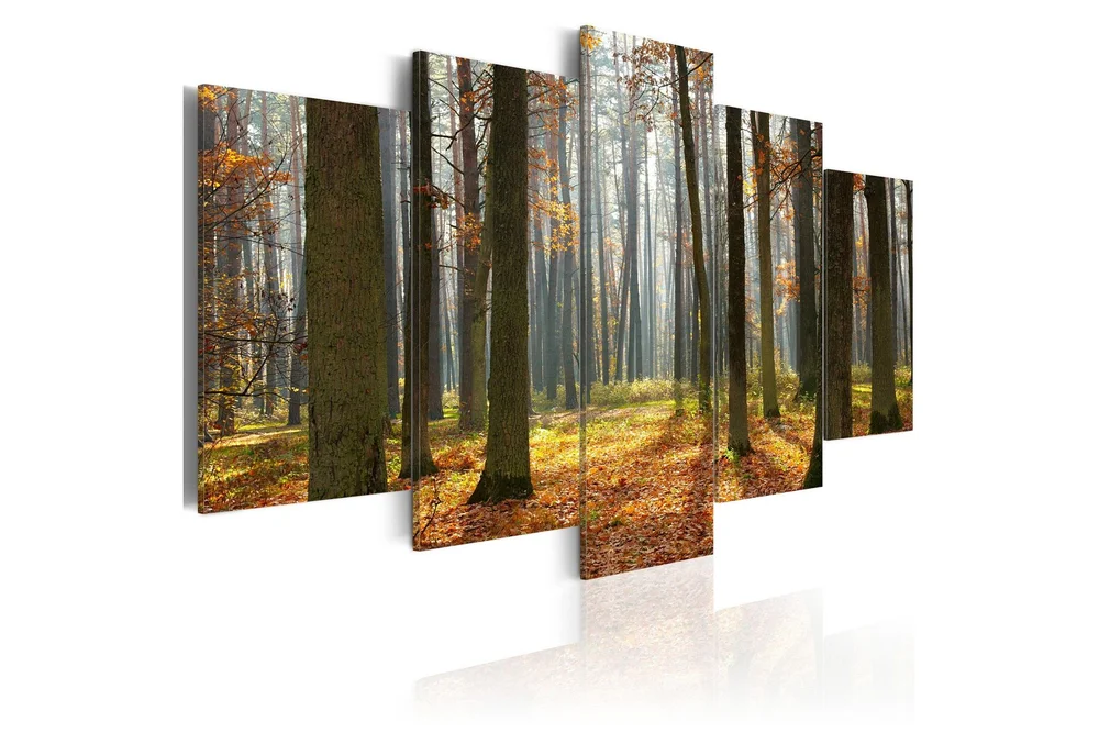 Bilde A Nice Forest Landscape 200×100 v:9761802 Bilde A Nice Forest Landscape 200×100 v:9761802