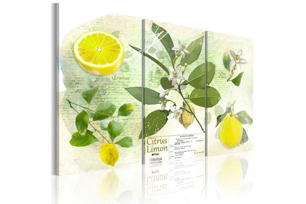 Bilde Fruit Lemon 60x40 v:7069845