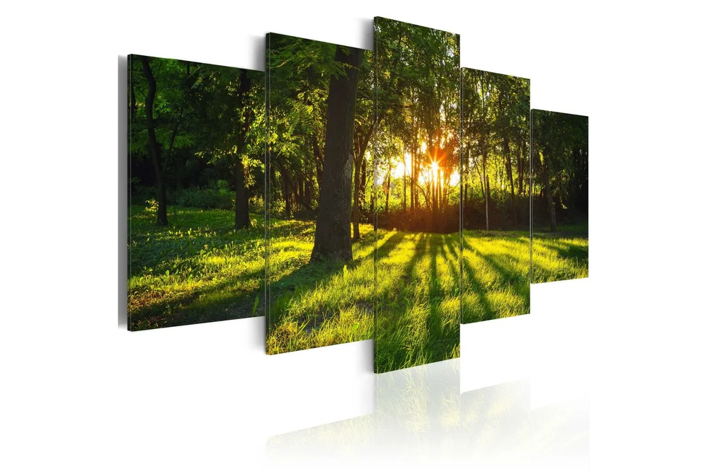 Bilde The Forest Reflection 100x50 v:5207080