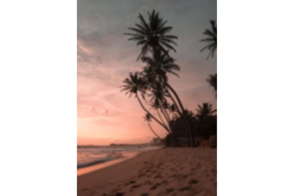 Poster Summer 50x70 cm v:7905306