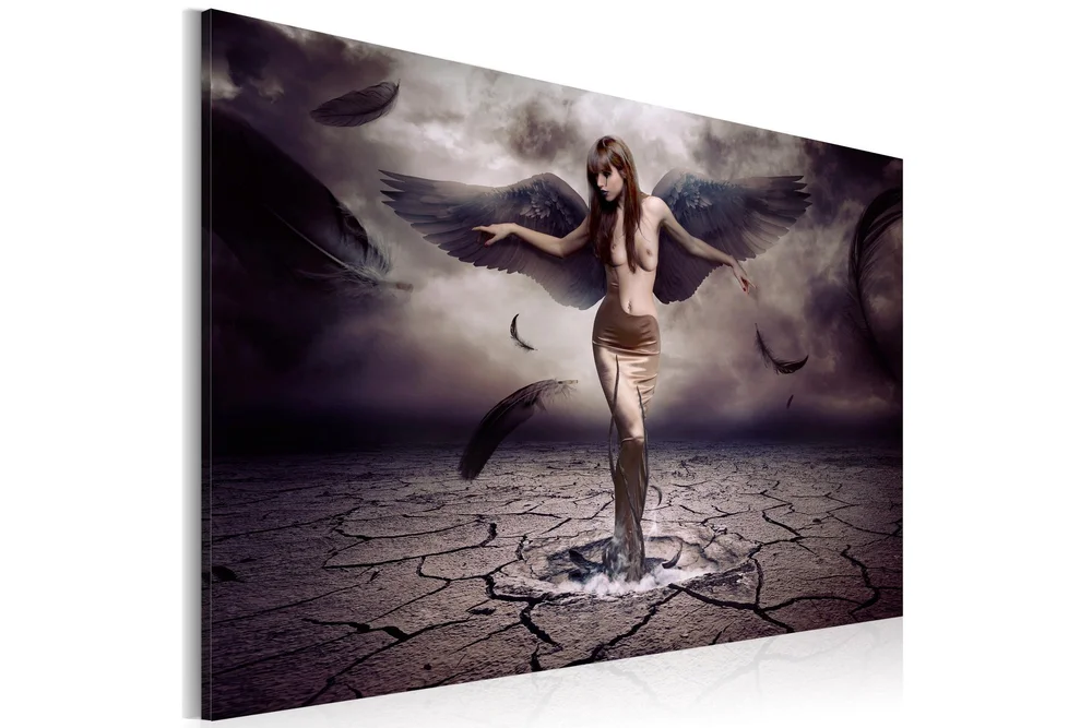 Bilde Black Angel 90x60 v:3087845
