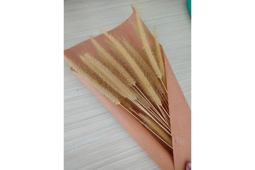 Poster Dry flowers 30x40 cm v:1841486