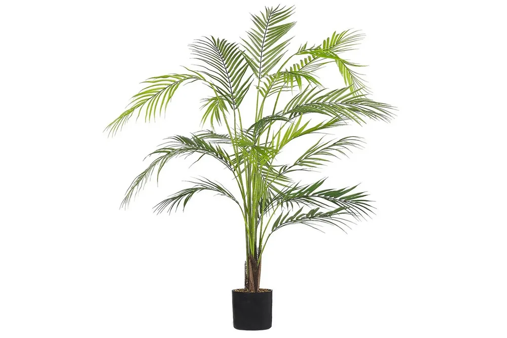 Konstgjord växt Beliani Areca Palm 12x12x124 cm Green||Black v:9607133 Konstgjord växt Beliani Areca Palm 12x12x124 cm Green||Black v:9607133