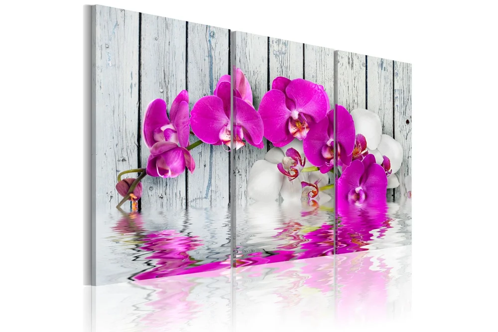 Bilde Orchid 90x60 v:2240636