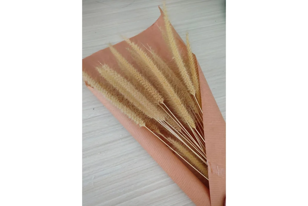 Poster Dry flowers 21x30 cm v:9215278