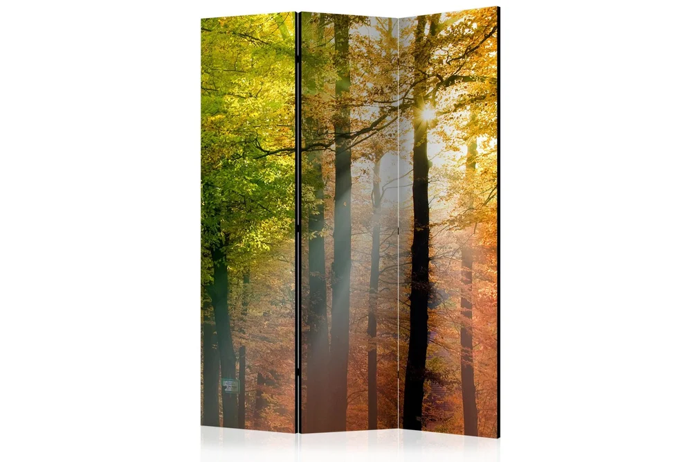 Kadira Rumsavdelare 135×172 cm VALUE_MISSING_1 v:3303663 Kadira Rumsavdelare 135×172 cm VALUE_MISSING_1 v:3303663
