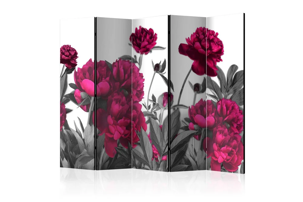 Kadira Rumsavdelare 172×225 cm VALUE_MISSING_1 v:6213661 Kadira Rumsavdelare 172×225 cm VALUE_MISSING_1 v:6213661