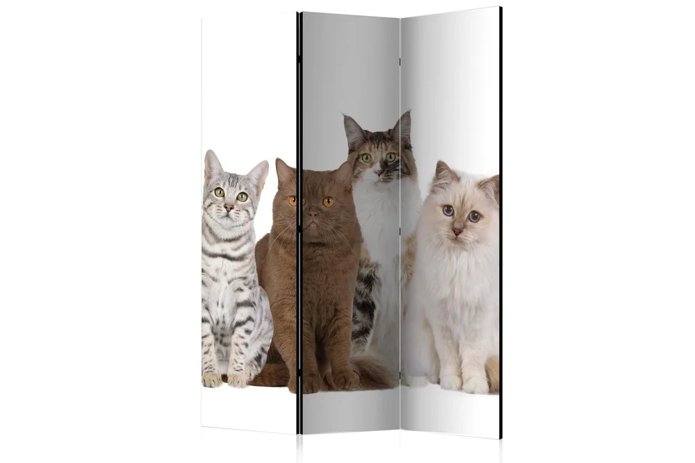Romdeler Sweet Cats 135x172 v:3411671