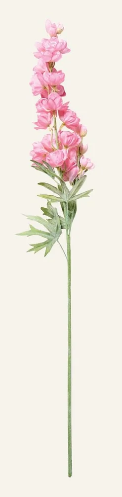 Blomst rosa – 14x12x102 cm v:6738327