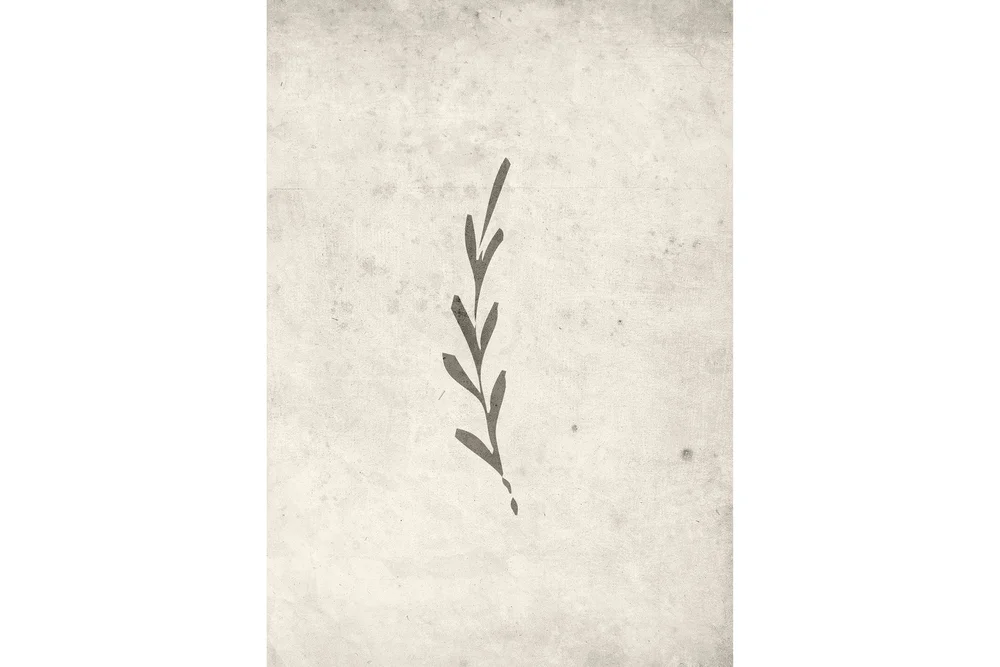 Poster Autumn leaf 21x30 cm v:7231148