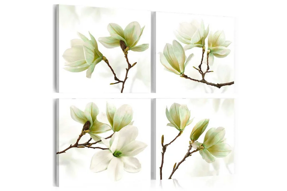 Bilde Admiration Of Magnolia 80×80 v:1778361 Bilde Admiration Of Magnolia 80×80 v:1778361