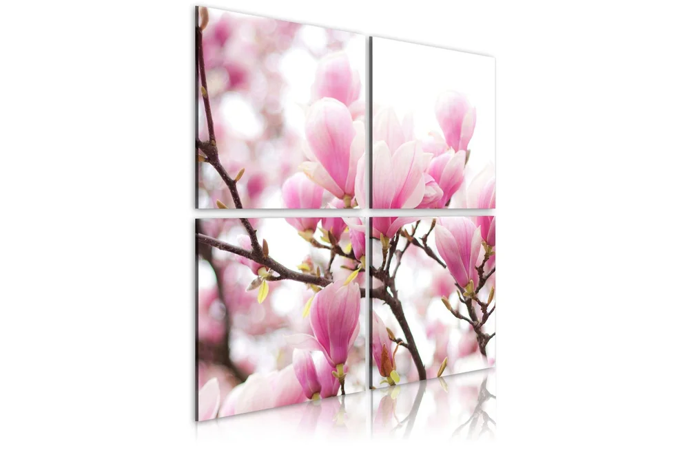 Bilde Blomstrende Magnolia Tre 80×80 v:1047026 Bilde Blomstrende Magnolia Tre 80×80 v:1047026