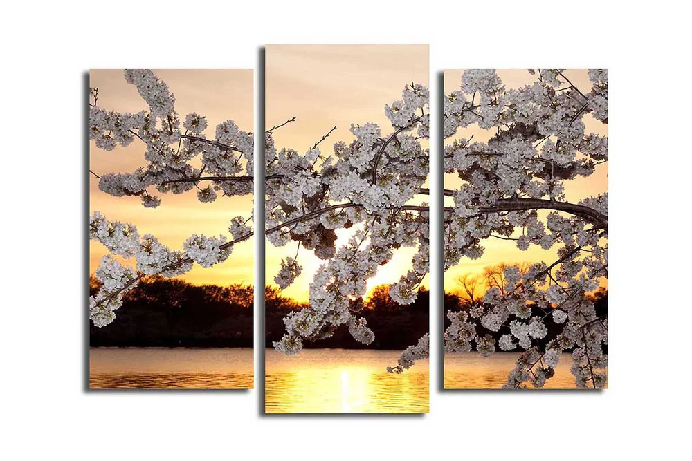Canvasbilde 3-pk flerfarget v:7037191