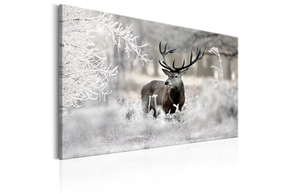 Bilde Lonely Deer 120x80 v:7732116