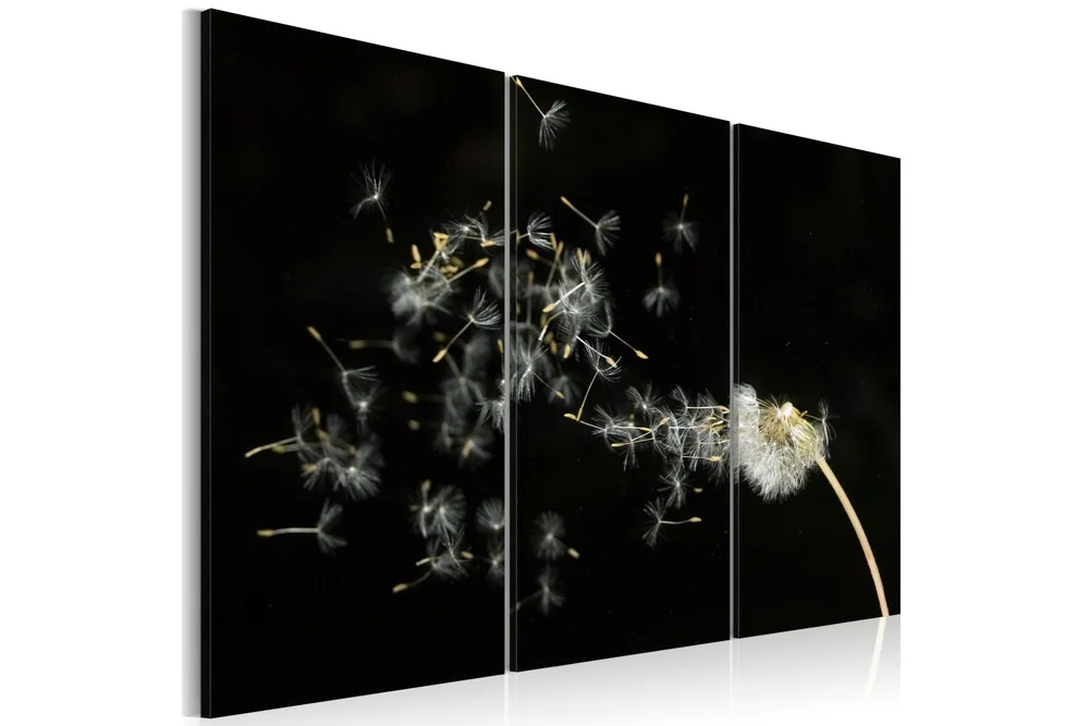 Bilde Dandelions- the transience 90x60 v:3782274