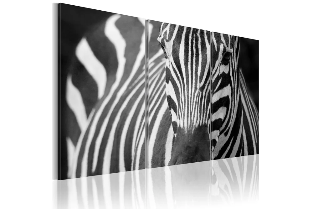 Bilde Mrs Zebra 90x60 v:3321092