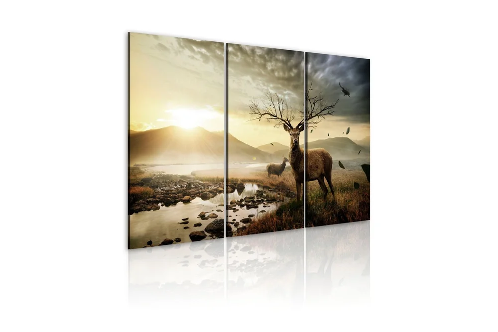 Bilde Deer 90x60 v:6013477
