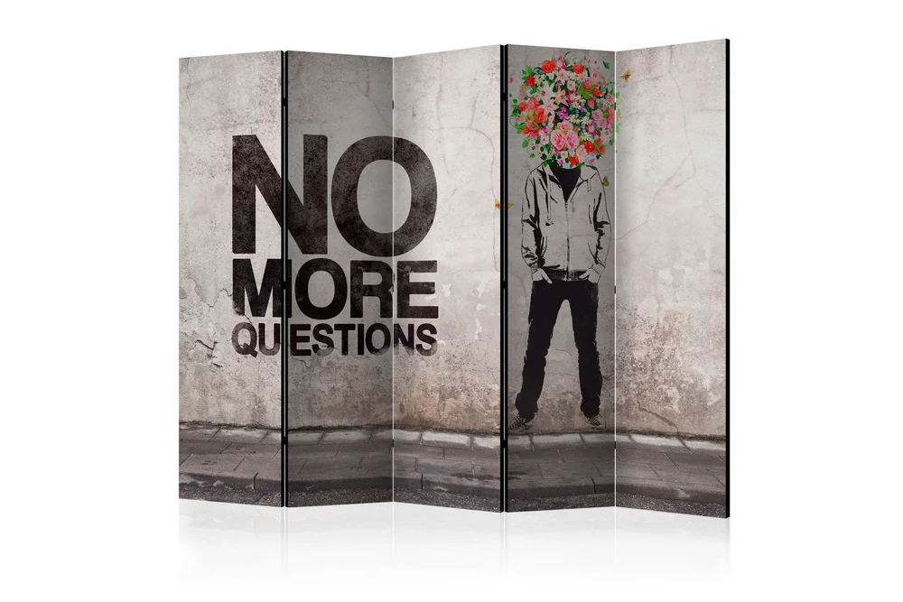 Romdeler - No more questions II 225x172 v:7800581
