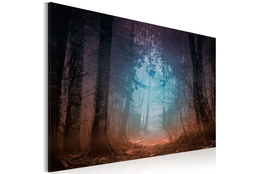 Bilde Edge Of The Forest 60x40 v:4936822